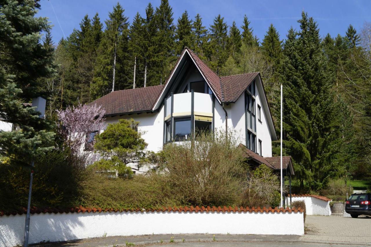 Am Irrenbaechle Apartment Albstadt Exterior photo
